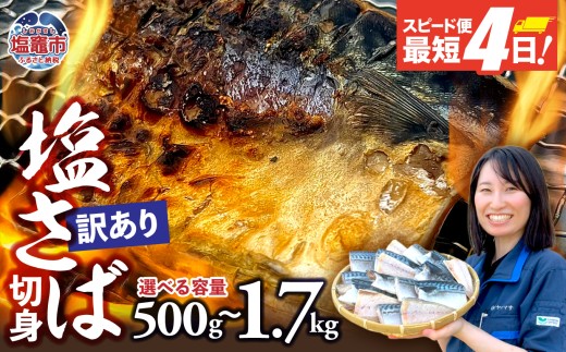 【訳あり】塩さば切身 深層海塩仕込み | ym00013 サバ さば 切り身 鯖 海塩 塩竈市 ヤママサ