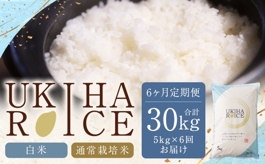 【6ヶ月定期便】みずほファーム UKIHA RICE (白米5kg×6ヶ月)