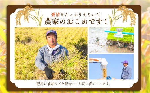日永園 ヒノヒカリ 玄米10kg