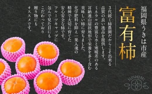 【先行予約】西見柿農園 富有柿 12玉から15玉