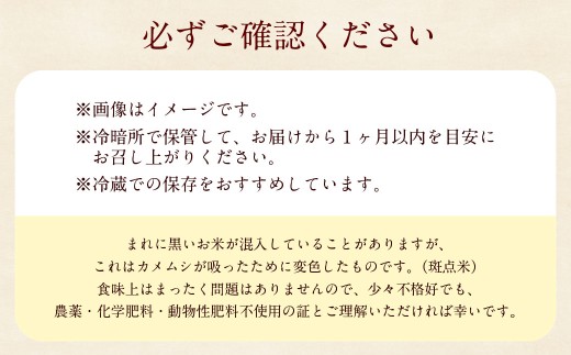 自然栽培 ひのひかり 玄米 10kg