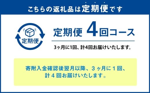 【年4回定期便】ミディ 胡蝶蘭 3本立ち