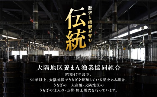 鹿児島県鹿屋市のふるさと納税 1541-1 【数量限定】鹿児島県大隅産うなぎ蒲焼2尾（320g）　KN007-002-05