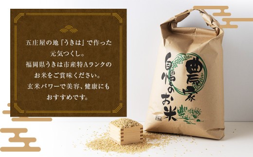 【特Aランク米】五庄屋の地で作ったお米 元気つくし 玄米 (5kg)