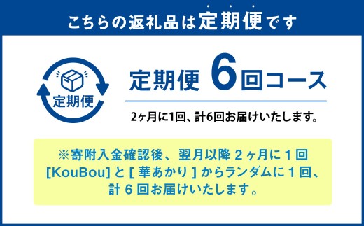 【年6回定期便】ミディ胡蝶蘭 KouBou 4種 ミディ胡蝶蘭 華あかり 2種 2本立ち