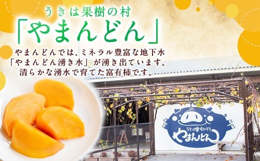 【先行予約】やまんどん 富有柿 15玉から20玉