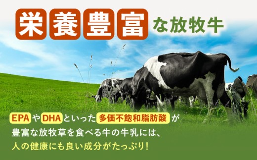 ソーセージ ハム 牛肉 ビーフ 肉 ギフト 北海道産 北海道