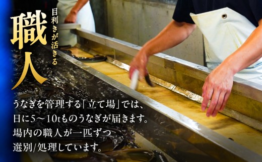 鹿児島県鹿屋市のふるさと納税 1541-1 【数量限定】鹿児島県大隅産うなぎ蒲焼2尾（320g）　KN007-002-05