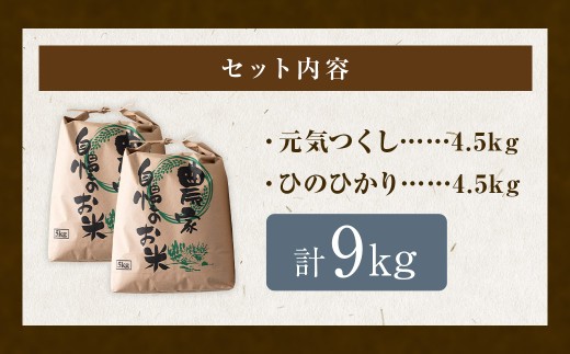 【特Aランク米】五庄屋の地で作ったお米 食べ比べセット 白米 (元気つくし 4.5kg・ひのひかり 4.5kg) 計9kg
