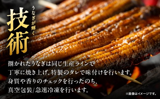鹿児島県鹿屋市のふるさと納税 2181 鹿児島県大隅産うなぎ蒲焼6尾 計900g　KN007-006