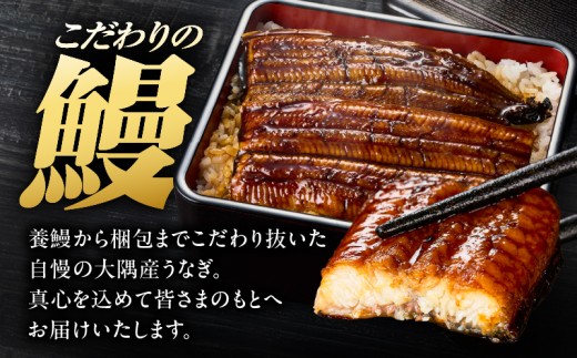 鹿児島県鹿屋市のふるさと納税 2181 鹿児島県大隅産うなぎ蒲焼6尾 計900g　KN007-006