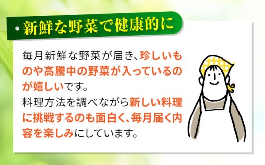 野菜 フルーツ 果物 定期便 旬 新鮮 詰合せ 野菜セット フルーツ定期便 