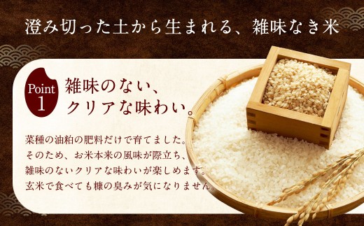 自然栽培 ひのひかり 玄米 10kg