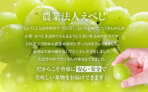【2025年発送】ぶどう 山梨県産 シャインマスカット1kg以上 2房