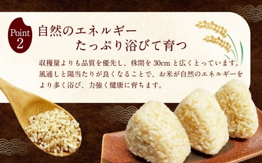 自然栽培 ひのひかり 玄米 10kg