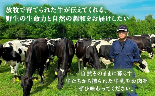 ソーセージ ハム 牛肉 ビーフ 肉 ギフト 北海道産 北海道