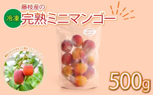 マンゴー 完熟 冷凍 ミニマンゴー 500g 国産 フルーツ 果物 デザート スイーツ おやつ トッピング 甘い 静岡県 藤枝市