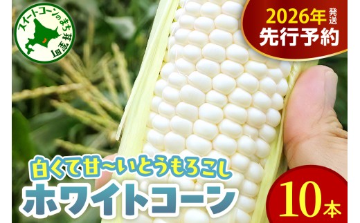 【先行受付】【2026年8月10日～8月下旬配送】北海道 十勝芽室町 とうもろこし ホワイトコーン 10本セット me078-004c-26 2141654 - 北海道芽室町