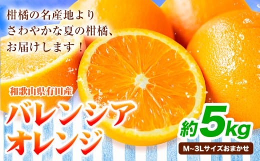 【先行予約】爽快 有田産バレンシアオレンジ 約5kg(M～3Lサイズおまかせ) 厳選館 《2026年6月中旬-6月下旬頃出荷》和歌山県 日高町 オレンジ 柑橘 フルーツ 果物