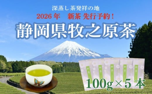 【先行予約】 2026年度産 新茶 シルバー 100ｇ×5本 お茶 静岡  新茶 濃旨 緑茶  深蒸し茶 深蒸し 茶 水出し緑茶 水出し 静岡茶 日本茶 飲料 飲み物 ドリンク 深むし茶 煎茶 セット お茶 茶 深蒸し 煎茶 旬 日常 牧之原産 甘い コク 便利 簡単 銀 茶葉 静岡茶 牧之原茶  プレゼント 贈答 贈答品 贈り物  産地直送 国産 日本 人気  静岡 県 牧之原市 小栗農園