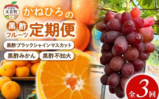 かねひろの黒酢フルーツ定期便 3回コース みかん 果物 旬 柑橘 甘い 新鮮 定期便 フルーツ 果物旬 黒酢みかん シャインマスカット 不知火 黒酢フルーツ 佐賀県 太良町 QN5