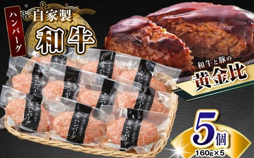 自家製和牛ハンバーグ(生・冷凍個別真空)5個セット | 牛肉 牛 肉 にく 和牛 かずさ和牛 国産 ハンバーグ 新鮮 オススメ 千葉県 君津市 きみつ 2259222 - 千葉県君津市