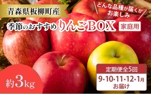 【定期購入5回】【どんな品種が届くかお楽しみ】季節のおすすめりんごBOX/家庭用/詰め合わせ/9月・10月・11月・12月・1月/約3kg　青森県　りんご　リンゴ　林檎　フルーツ　くだもの　果物