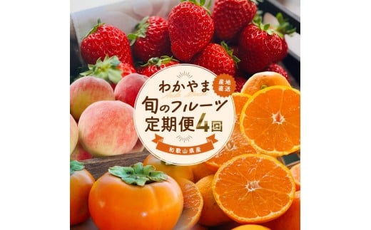 わかやま旬のフルーツ定期便[L] 全4回 2～3・7・10・11～12月発送 家庭用［MS124］