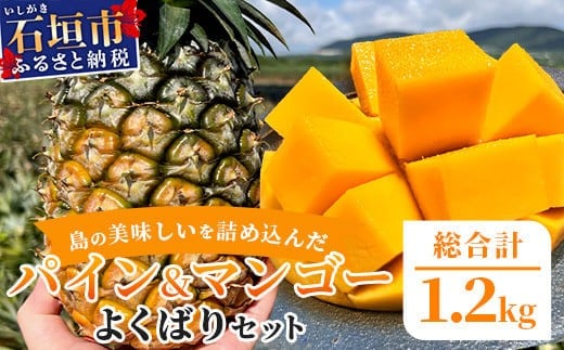 《2026年6月中旬以降発送》島の美味しいを詰め込んだ、パイン＆マンゴーのよくばりセット！【 沖縄県 石垣市 石垣島 完熟 パイン パイナップル スナック マンゴー セット 詰め合わせ 産地直送 】TF-24_R8 1341126 - 沖縄県石垣市