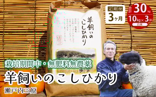 【3か月定期便】《栽培期間中・無肥料無農薬》瀬戸内三原 羊飼いのこしひかり 白米 10kg×3回 2025年9月上旬発送予定 瀬戸内ビオファーム お米 こめ ご飯 002033