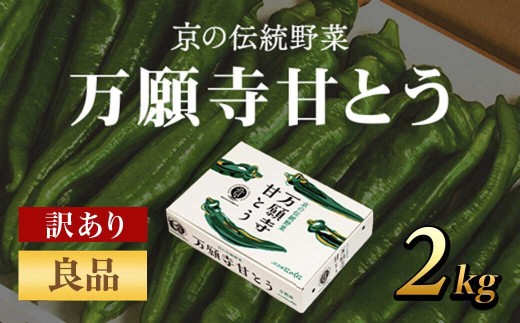 京のブランド産品　万願寺甘とう 良品 2kg [長さ・形不揃い]【2025年発送分】 ふるさと納税 京野菜 旬の野菜 万願寺 甘とう とうがらし 訳あり 不揃い 肉厚 甘い 京都府 福知山市 FCCS007