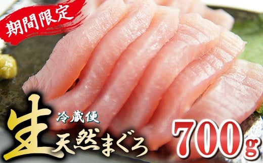 期間限定！〈生でお届け〉国産天然マグロ短冊 ７００ｇ 【10月15日までの受付】 産地直送  天然ビンチョウマグロ短冊  天然  国産 鮪 まぐろ マグロ ユッケ 海鮮 刺し身 ネギトロ 短冊 冊 問屋 直送 期間限定 自社加工 小分け 切るだけ 簡単調理 人気 おすすめ 新鮮 品質 厳選 美味しい とろける トロ ビンチョウ ビンナガ こだわり 丁寧 三重県 尾鷲市　KI-68