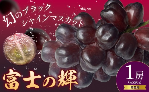 ぶどう 贈答用 富士の輝 1房 約550g 葡萄 ブドウ ぶどう 大粒 種なし ブラック シャインマスカット 皮ごと フルーツ 果物 産地直送 新鮮 お取り寄せ ギフト 国産 季節限定 茨城県 結城市《8月下旬-9月下旬頃出荷》會澤ぶどう・キウイフルーツ園 【配送不可地域あり】(離島) 1435583 - 茨城県結城市