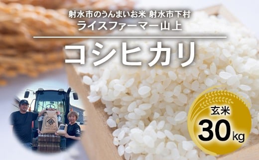 【射水市】【ライスファーマー山上】【農家直送】【射水の美味しいお米】R7年産コシヒカリ30kg【玄米】 ※離島への配送不可 ※2025年9月下旬～10月中旬頃に順次発送予定