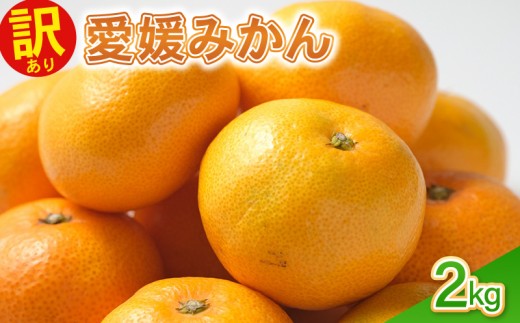 訳あり愛媛みかん 2kg 温州みかん みかん 先行予約 柑橘 傷み補償 不揃い みかん ミカン 蜜柑  サイズミックス 規格外   フルーツ 果物 フルーツ果物 先行受付 常温 愛南町 青果市場 愛媛県 