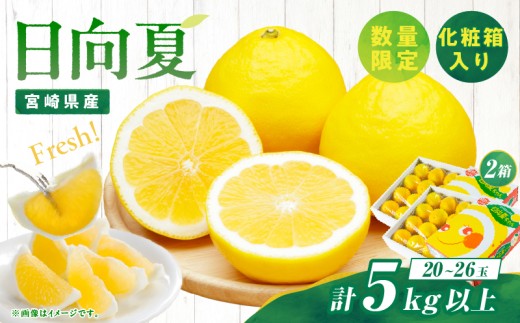 先行予約 日向夏 計5kg以上 化粧箱入り 期間限定 数量限定 果物 フルーツ くだもの 柑橘 みかん 令和8年発送 ジュース フルーツサンド おやつ デザート 国産 食品 おすすめ ギフト 贈り物 贈答 おすそ分け お祝い お返し 宮崎県 日南市 送料無料_CC74-25 1173494 - 宮崎県日南市