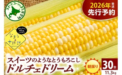 【先行受付】【2026年7月下旬～8月15日頃配送】】北海道十勝芽室町 なまら十勝野　ドルチェドリーム(30本) 　me001-044c-26 1449543 - 北海道芽室町