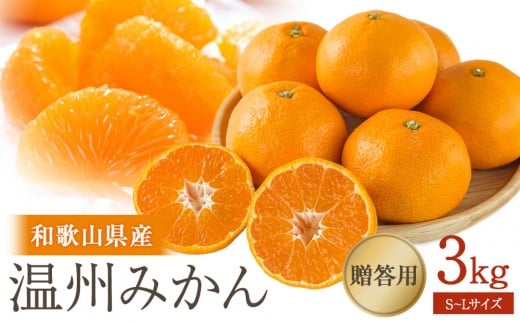 ［先行予約］贈答向け 温州みかん 約3kg S~Lサイズ混合 ［2025年11月下旬頃から順次発送予定］ 2245638 - 和歌山県海南市
