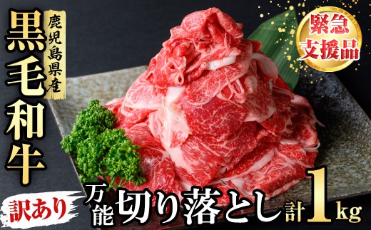 【緊急支援品】【訳あり】黒毛和牛万能切り落とし肉 計1kg（500g×2P）鹿児島県産 黒毛和牛 和牛 切り落とし 肉 牛肉 国産 九州産 赤身 薄切りすき焼き しゃぶしゃぶ カレー 小分け 煮込み 訳あり 訳アリ 切落し a1-143