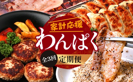 [定期便全3回]ひかり麦豚 わんぱく定期便 お惣菜セット ≪月替わりで焼肉・ハンバーグ・餃子をお届け!≫ 冷凍 HM-10 | 肉 お肉 にく 豚肉 焼き肉 ロース肉 肩ロース バラ肉 ハンバーグ ギョウザ ぎょうざ 真空冷凍 産地直送 小分け パック 手作り 鹿児島県 南大隅町 ひかり麦豚直売所