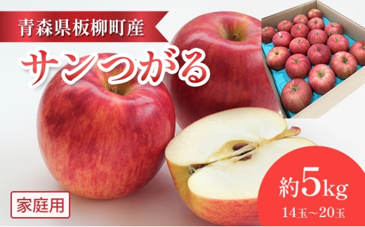 【早生りんごの定番・サンつがる】家庭用/サンつがる/約5kg　青森県　りんご　リンゴ　林檎　フルーツ　くだもの　果物