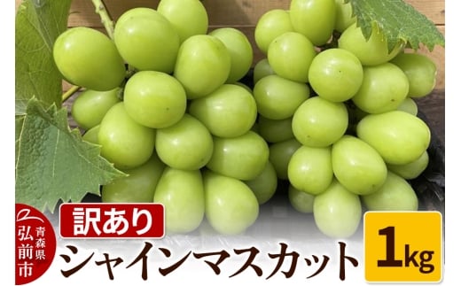 【25年9月～発送】 【訳あり】 シャインマスカット1kg【先行受付】 ぶどう フルーツ 果物 ブドウ 葡萄 グレープ くだもの 産地直送【レビューキャンペーン】