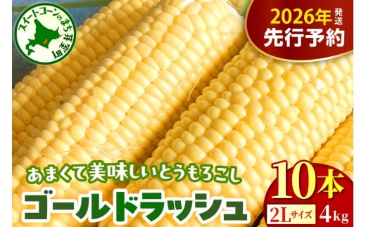 【先行受付】【2026年8月上旬～8月下旬頃配送】北海道十勝芽室町 とうもろこし ゴールドラッシュ 2Lサイズ 10本セット me078-003c-26 2086326 - 北海道芽室町