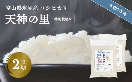 【特別栽培米】 令和7年産 富山県産特別栽培米 コシヒカリ 天神の里２kg×２｜　お米 白米 精米 氷見 富山 米 国産 特別栽培 4kg 2kg 2袋 小分け エコファーマー 数量限定 コシヒカリ こしひかり 人気 お取り寄せ 減農薬 減化学肥料 安心 安全 環境にやさしい 農家直送