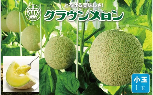 ＜通年出荷＞クラウンメロン(小玉) 1玉【1486509】