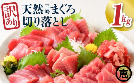 ＜訳あり＞天然三崎まぐろ 1kg たっぷり10人分！不揃い赤身【2025年12月お届け】　M020-013-012
