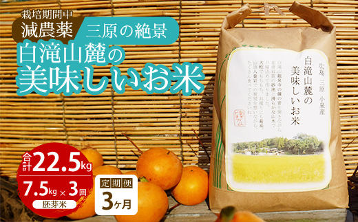 【3か月定期便】≪栽培期間中減農薬≫ 三原の絶景白滝山麓の美味しいお米 胚芽米 7.5kg×3回 2025年10月発送予定 瀬戸内ビオファーム ご飯 米 おこめ 002027