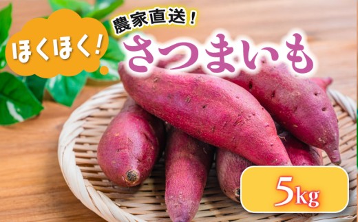 さつまいも 5 kg 野菜 サツマイモ 焼き芋 芋 鳴門金時 なると金時 ヤサイ やさい 食材 新鮮 旬 産地直送  滋賀県 竜王町 送料無料 竜王産 