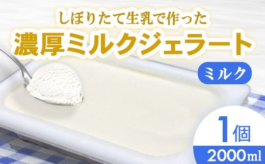 しぼりたて生乳で作った濃厚ミルクジェラート（2000ml）  ジェラート シャーべット アイスクリーム アイス 生乳 ミルク ジェラート 大容量 クリーミー デザート 氷菓子 スイーツ 濃厚 冷凍 パーティー 佐賀県 太良町 NB49