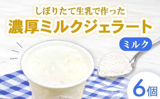 しぼりたて生乳で作った濃厚ミルクジェラート 6個セット  ジェラート シャーべット アイスクリーム アイス 生乳 ミルク ジェラート クリーミー デザート 氷菓子 スイーツ 濃厚 冷凍 佐賀県 太良町 NA23